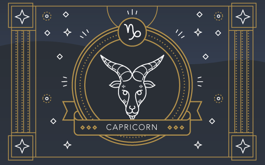  About Capricorn