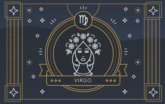  About Virgo